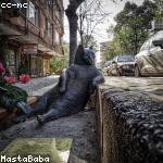 Mohammad Kohler Profile Picture